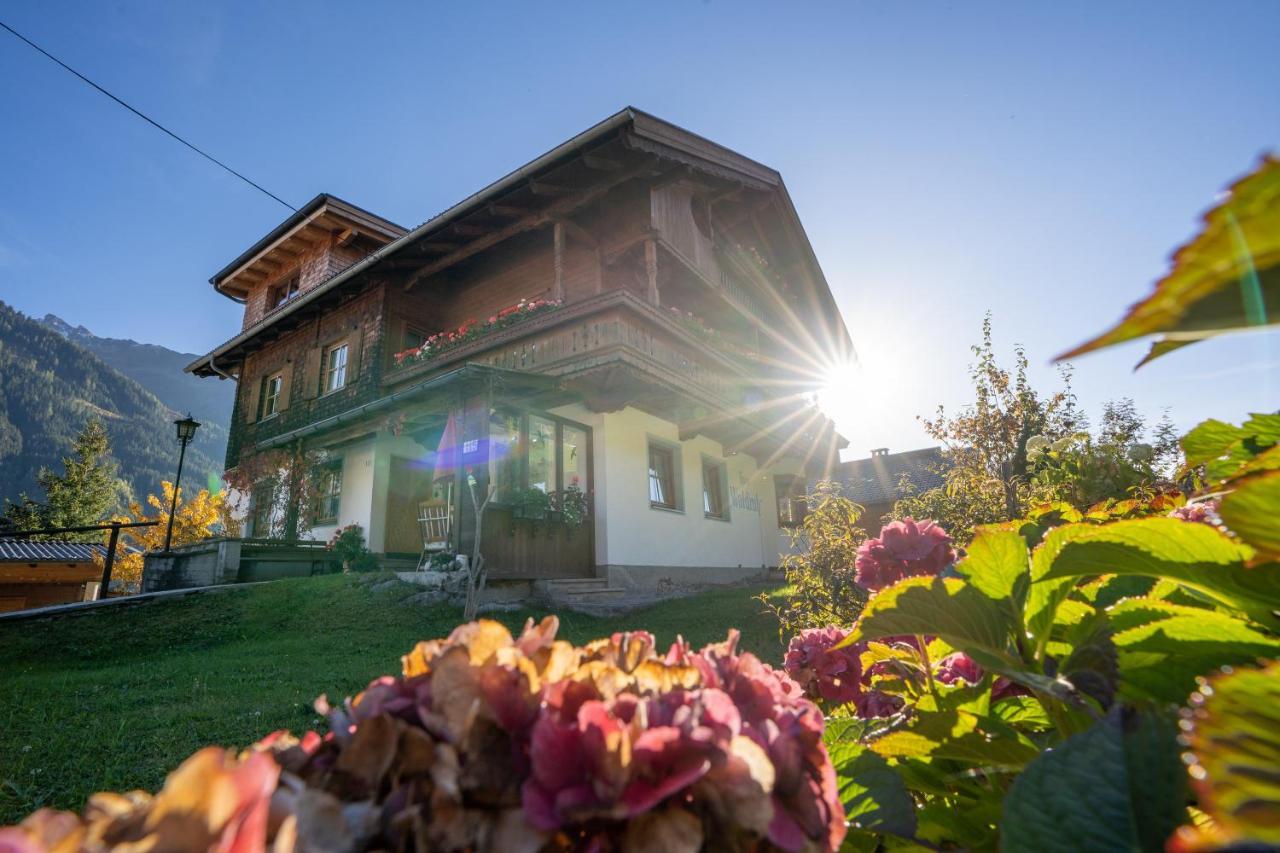 Gaestehaus Waldruh Apartment Brandberg Exterior photo